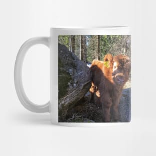 Scottish Highland Cattle Calf 1734 Mug